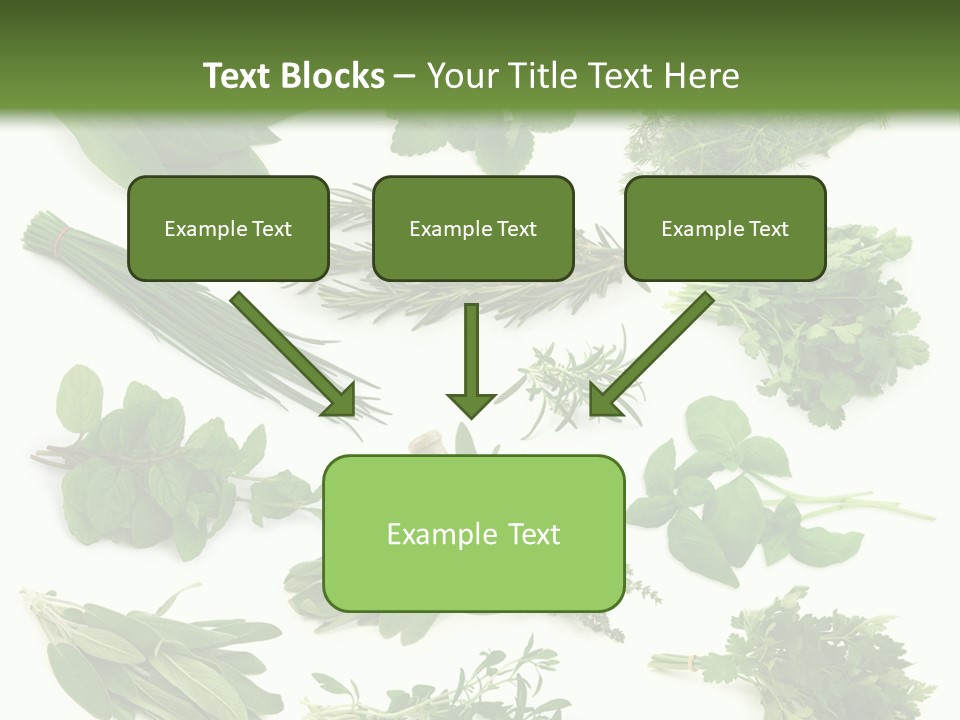 Fresh Salvia Variation PowerPoint Template