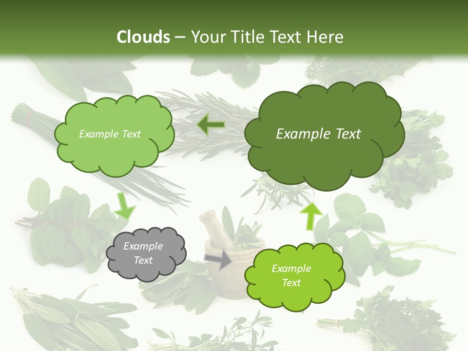 Fresh Salvia Variation PowerPoint Template