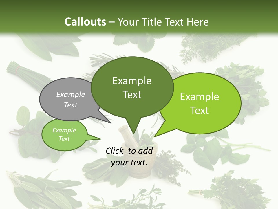 Fresh Salvia Variation PowerPoint Template