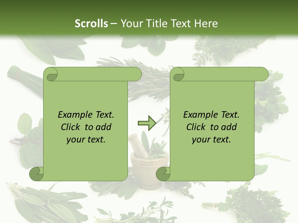 Fresh Salvia Variation PowerPoint Template