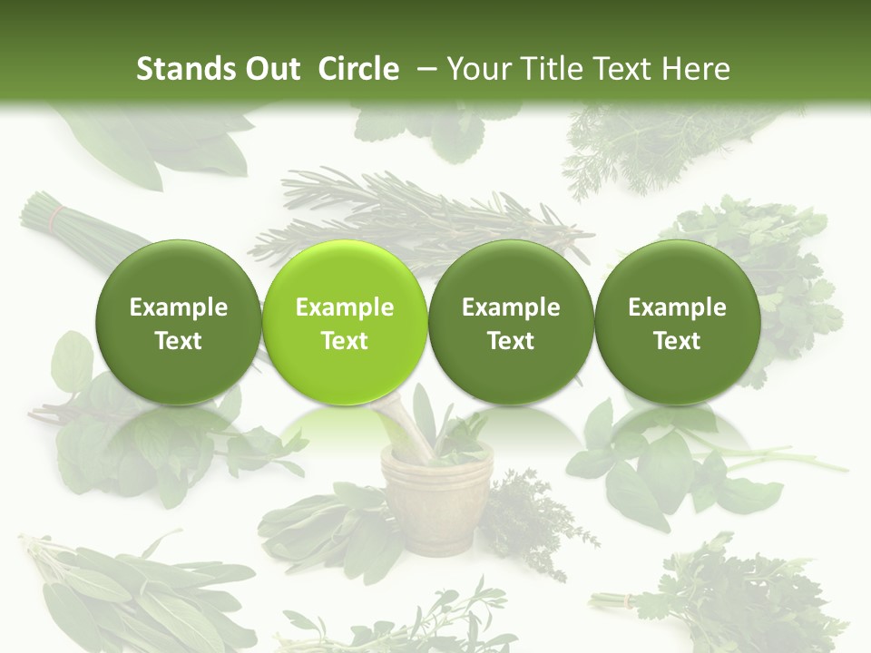 Fresh Salvia Variation PowerPoint Template