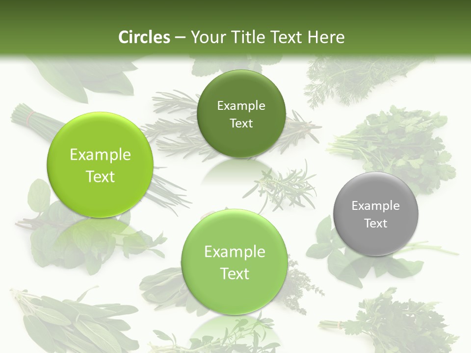 Fresh Salvia Variation PowerPoint Template