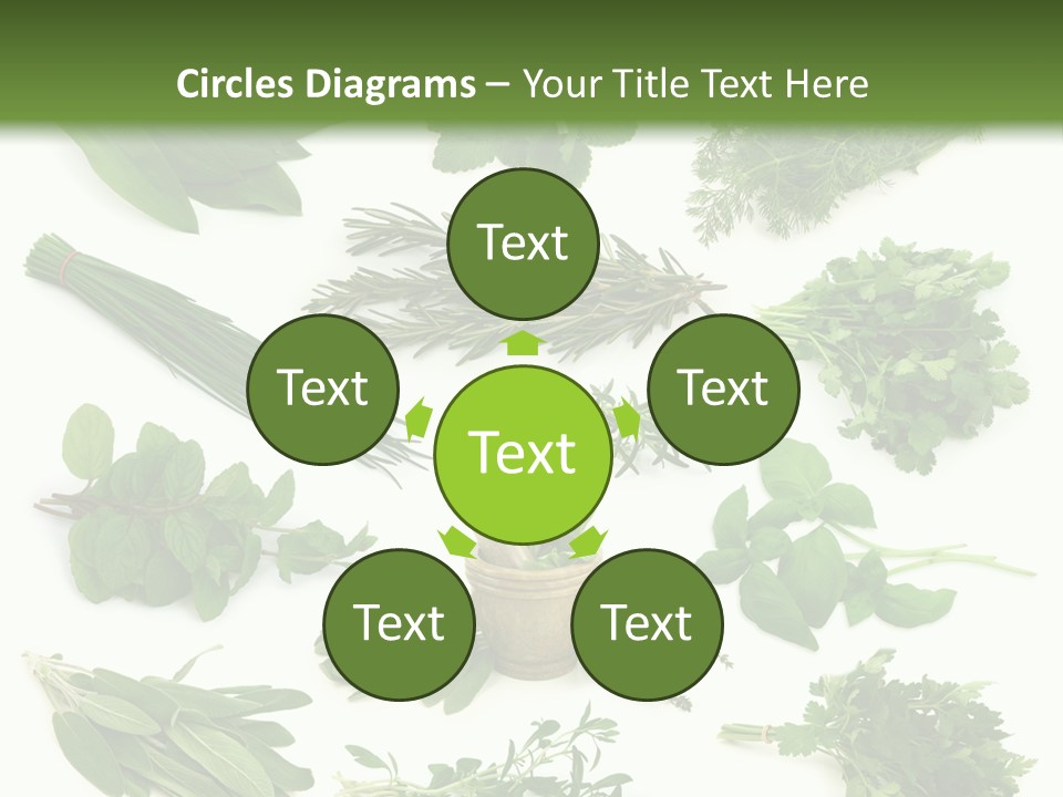 Fresh Salvia Variation PowerPoint Template