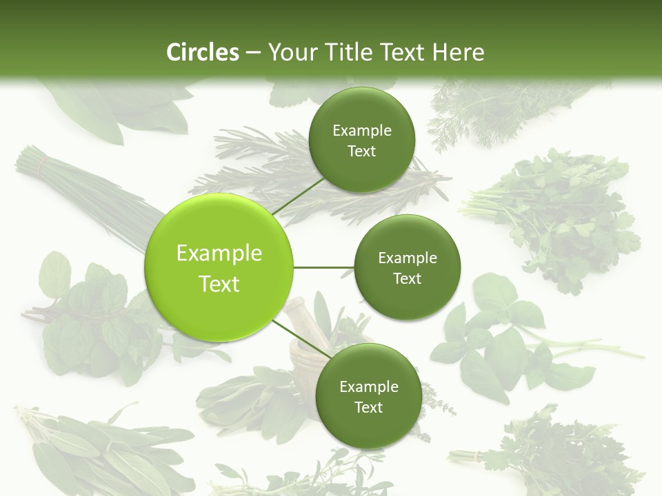 Fresh Salvia Variation PowerPoint Template