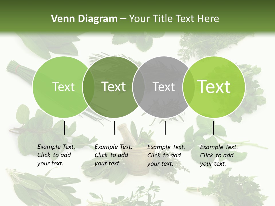 Fresh Salvia Variation PowerPoint Template