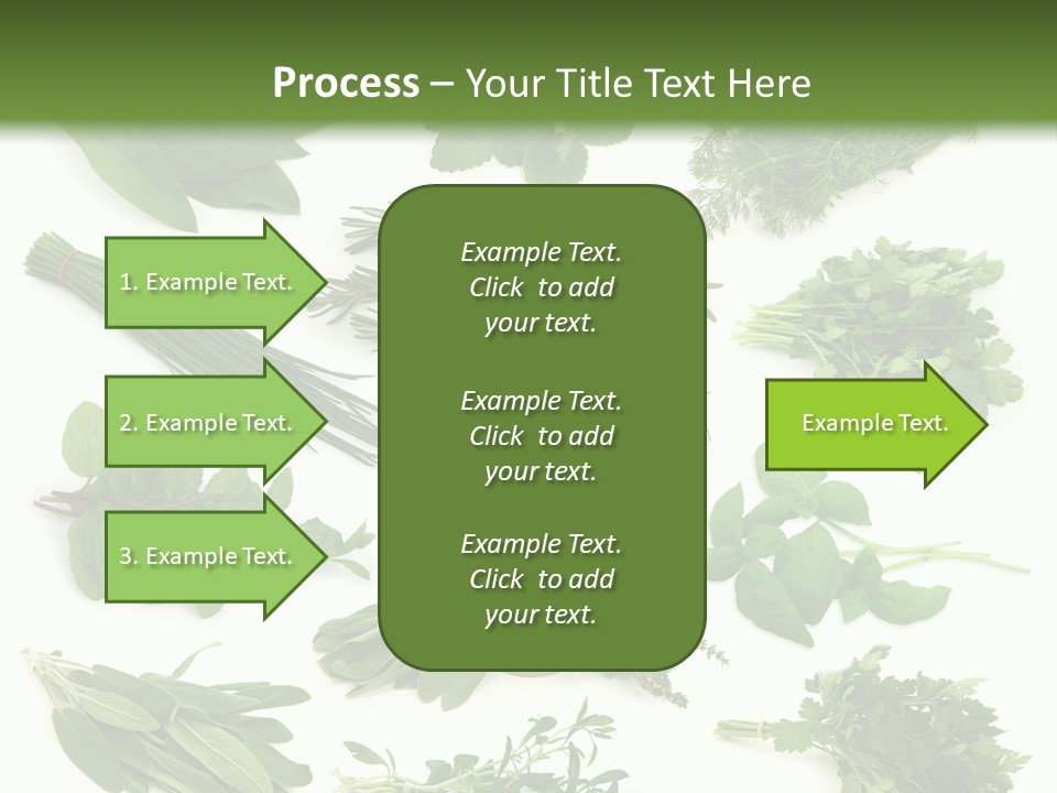 Fresh Salvia Variation PowerPoint Template