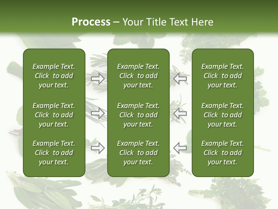 Fresh Salvia Variation PowerPoint Template