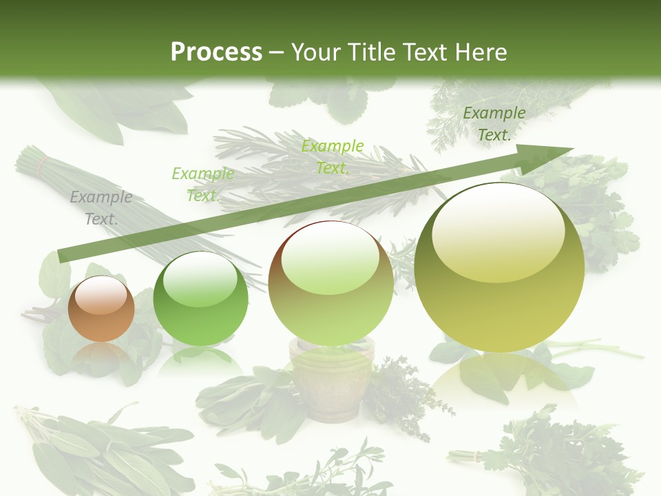 Fresh Salvia Variation PowerPoint Template