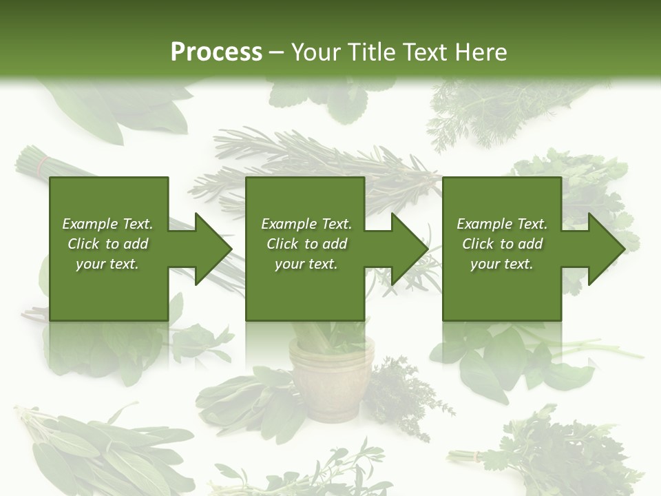 Fresh Salvia Variation PowerPoint Template