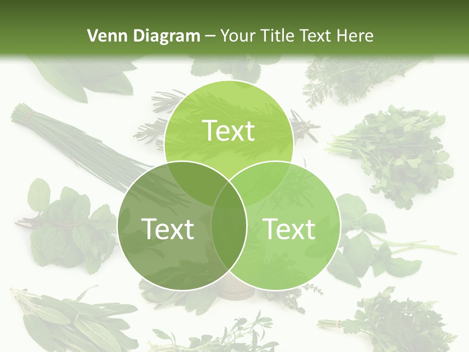 Fresh Salvia Variation PowerPoint Template