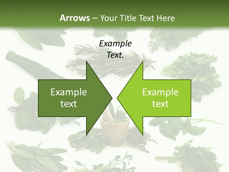 Fresh Salvia Variation PowerPoint Template