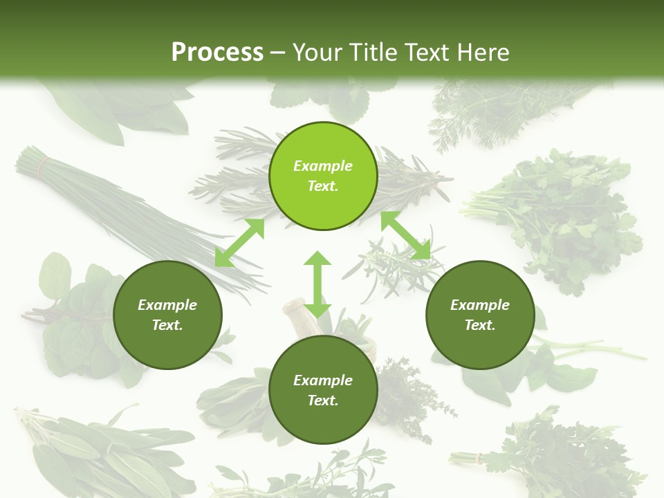 Fresh Salvia Variation PowerPoint Template