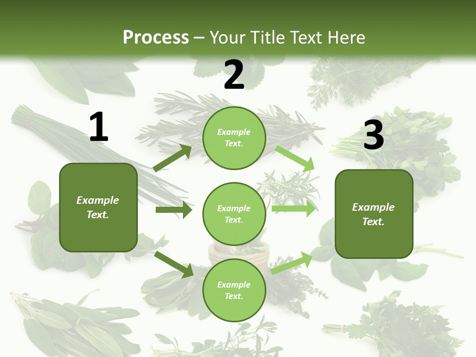 Fresh Salvia Variation PowerPoint Template