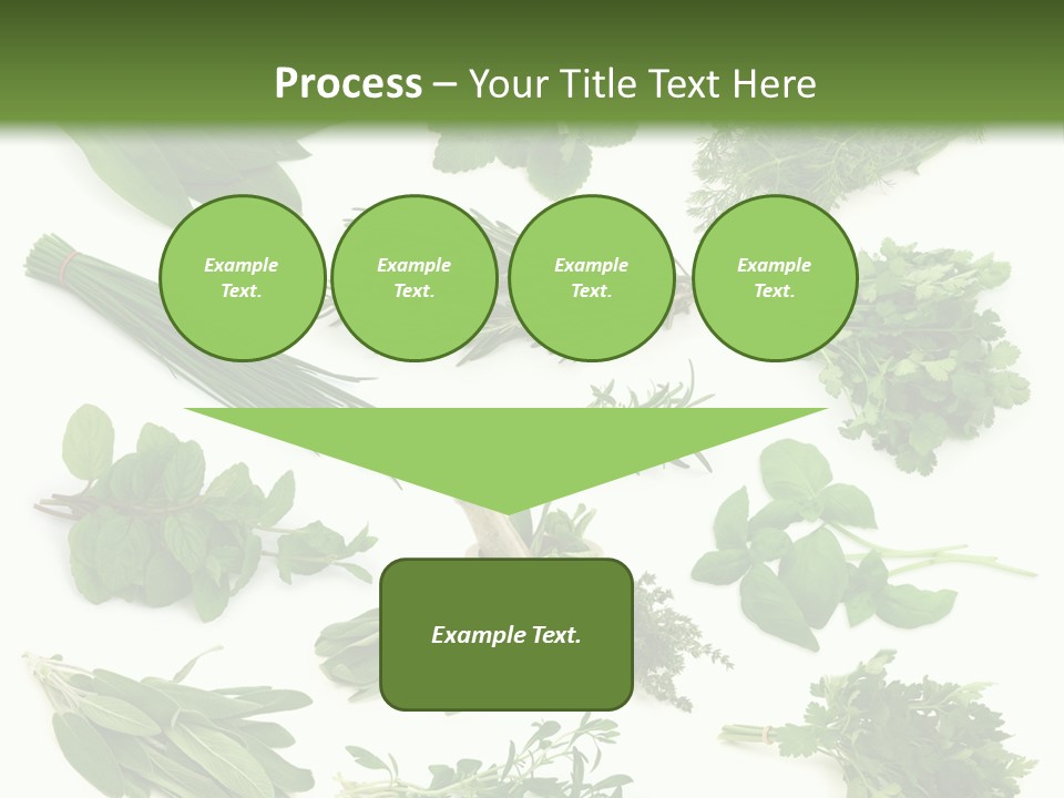 Fresh Salvia Variation PowerPoint Template