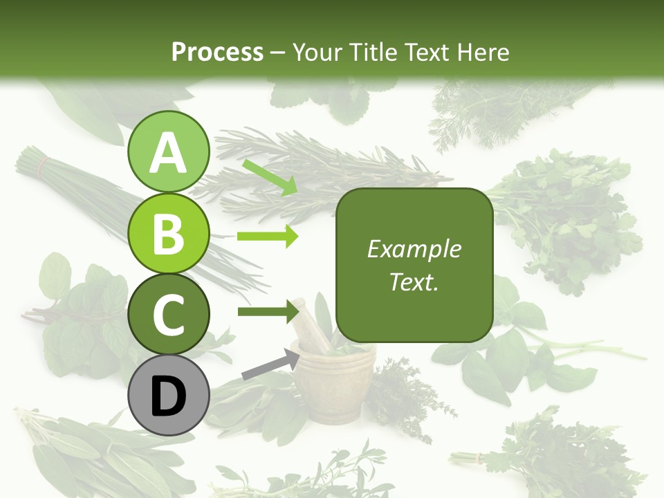 Fresh Salvia Variation PowerPoint Template