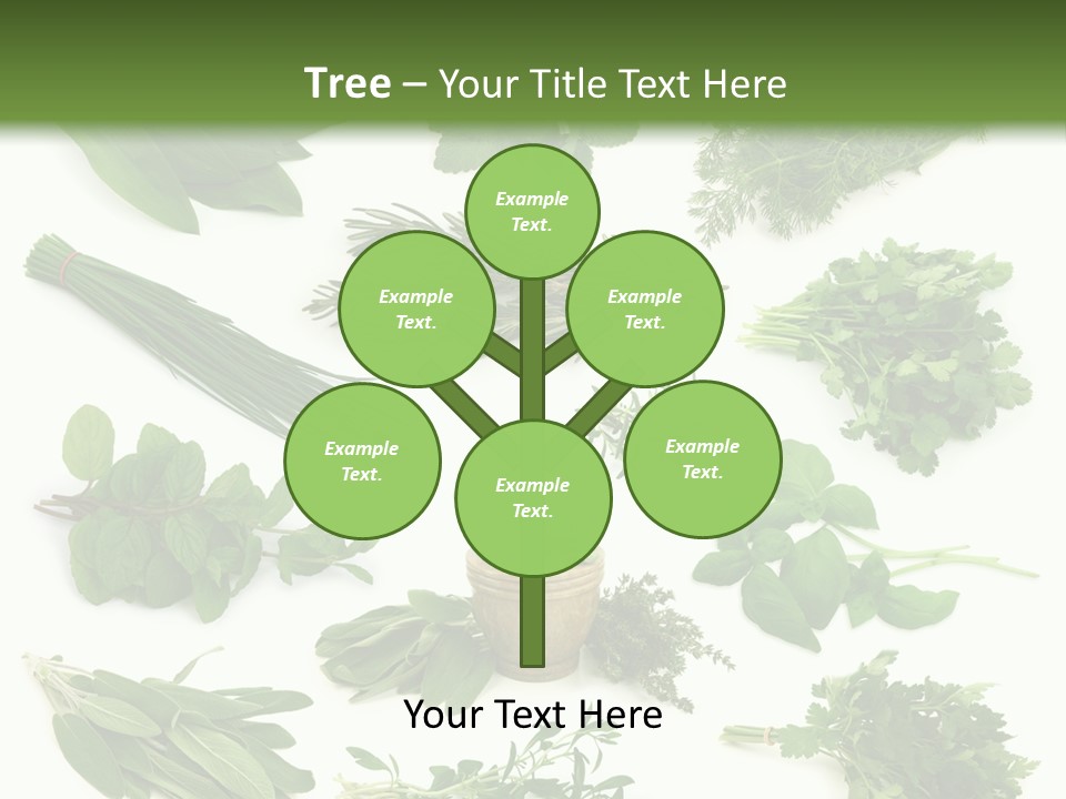 Fresh Salvia Variation PowerPoint Template