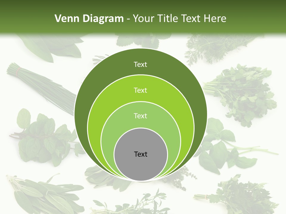 Fresh Salvia Variation PowerPoint Template