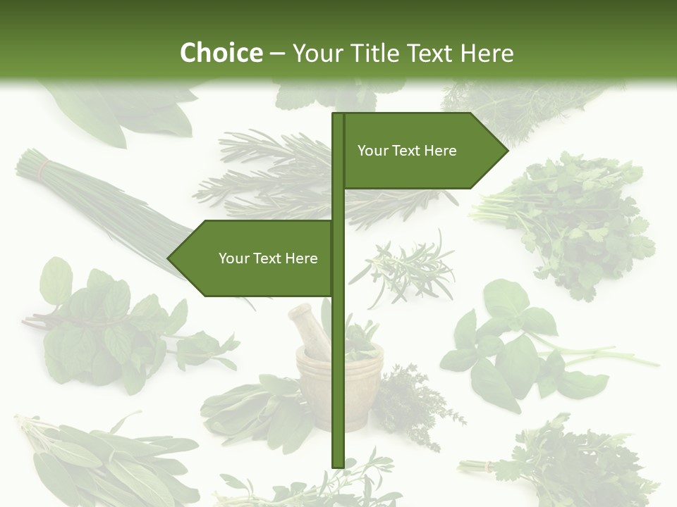 Fresh Salvia Variation PowerPoint Template