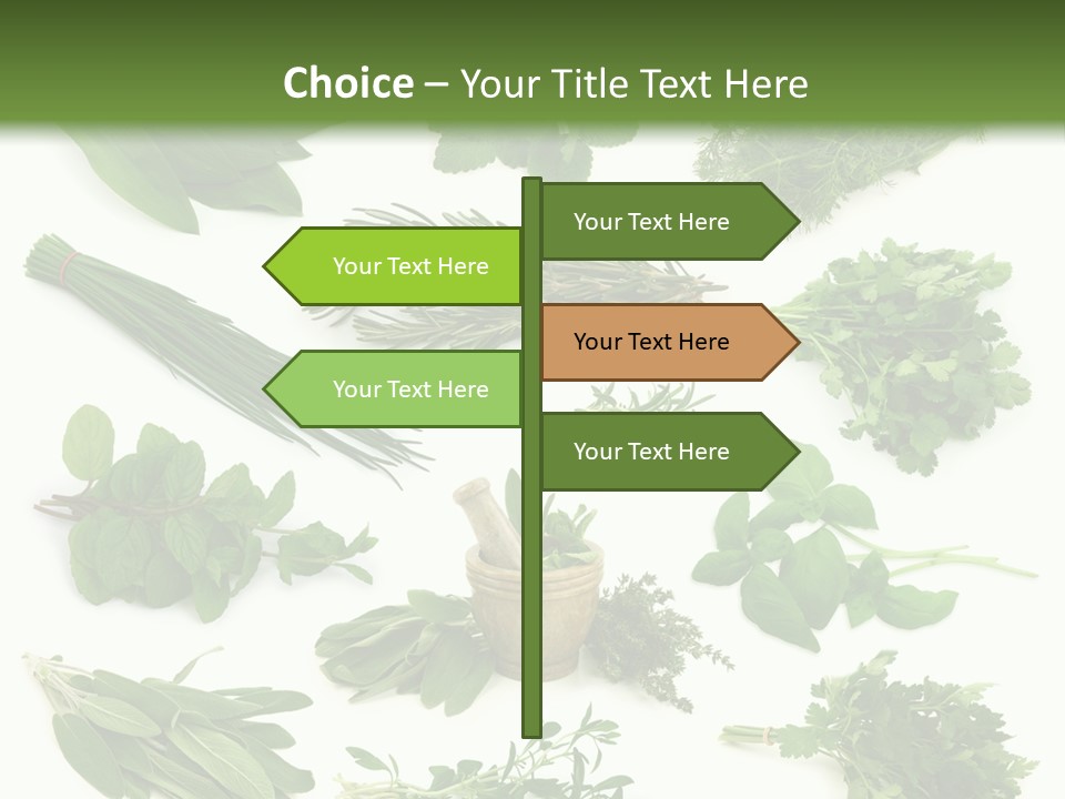 Fresh Salvia Variation PowerPoint Template