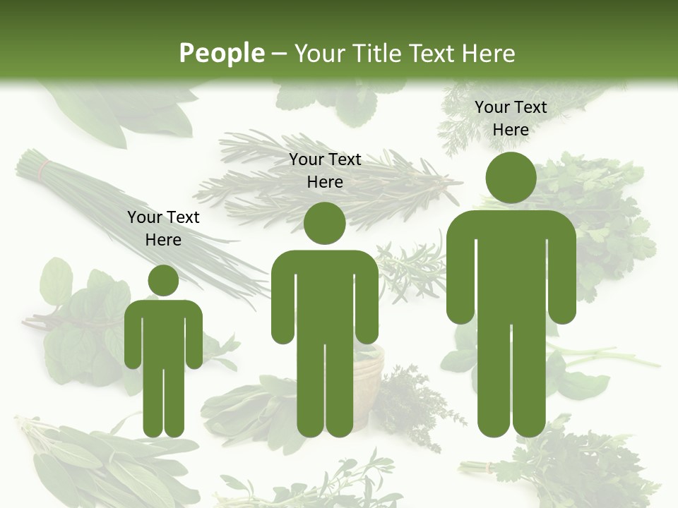 Fresh Salvia Variation PowerPoint Template