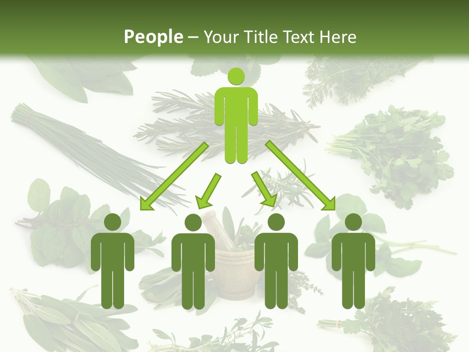 Fresh Salvia Variation PowerPoint Template