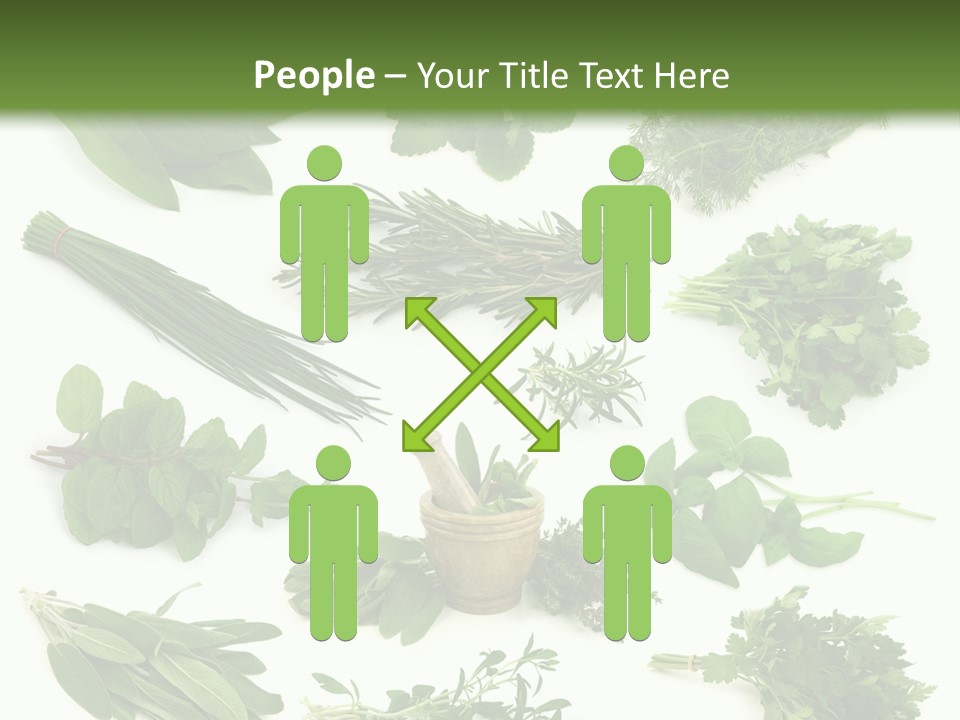 Fresh Salvia Variation PowerPoint Template