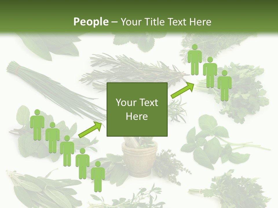 Fresh Salvia Variation PowerPoint Template