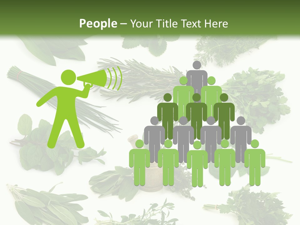 Fresh Salvia Variation PowerPoint Template