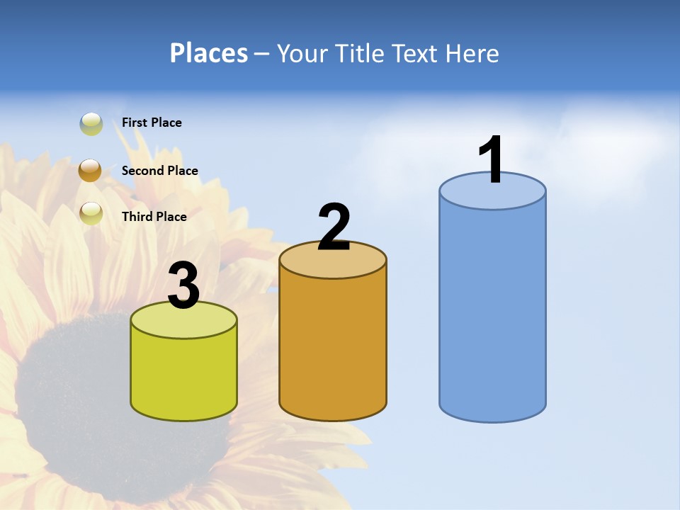 Spring Colour Sunflower PowerPoint Template