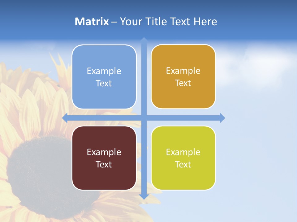 Spring Colour Sunflower PowerPoint Template