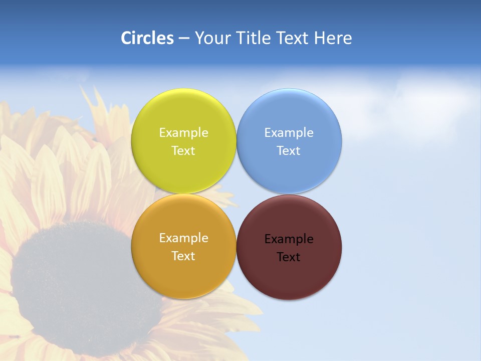 Spring Colour Sunflower PowerPoint Template