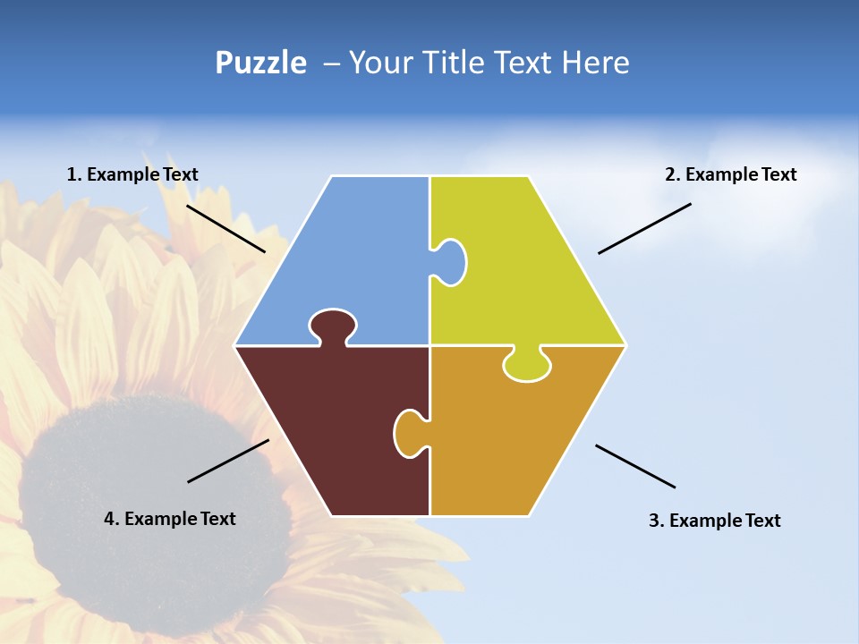 Spring Colour Sunflower PowerPoint Template