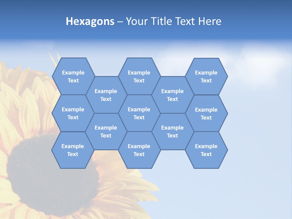 Spring Colour Sunflower PowerPoint Template