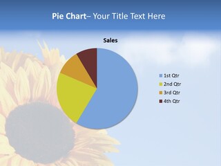 Spring Colour Sunflower PowerPoint Template