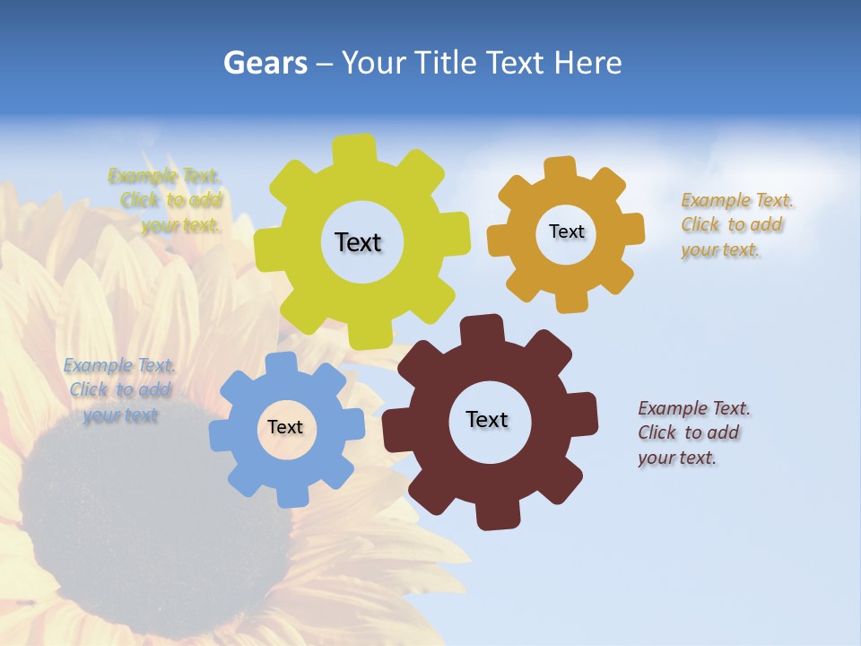 Spring Colour Sunflower PowerPoint Template