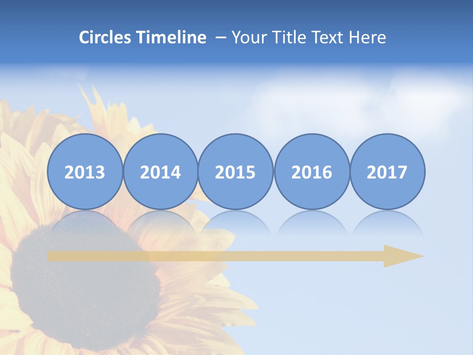 Spring Colour Sunflower PowerPoint Template