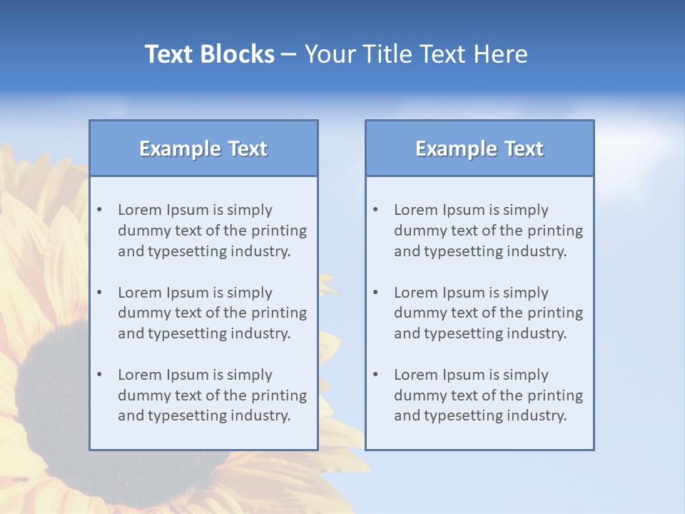 Spring Colour Sunflower PowerPoint Template
