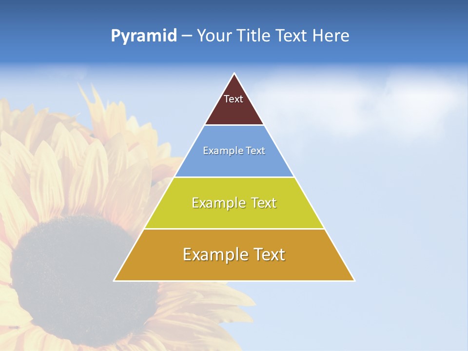 Spring Colour Sunflower PowerPoint Template