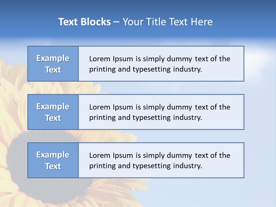 Spring Colour Sunflower PowerPoint Template