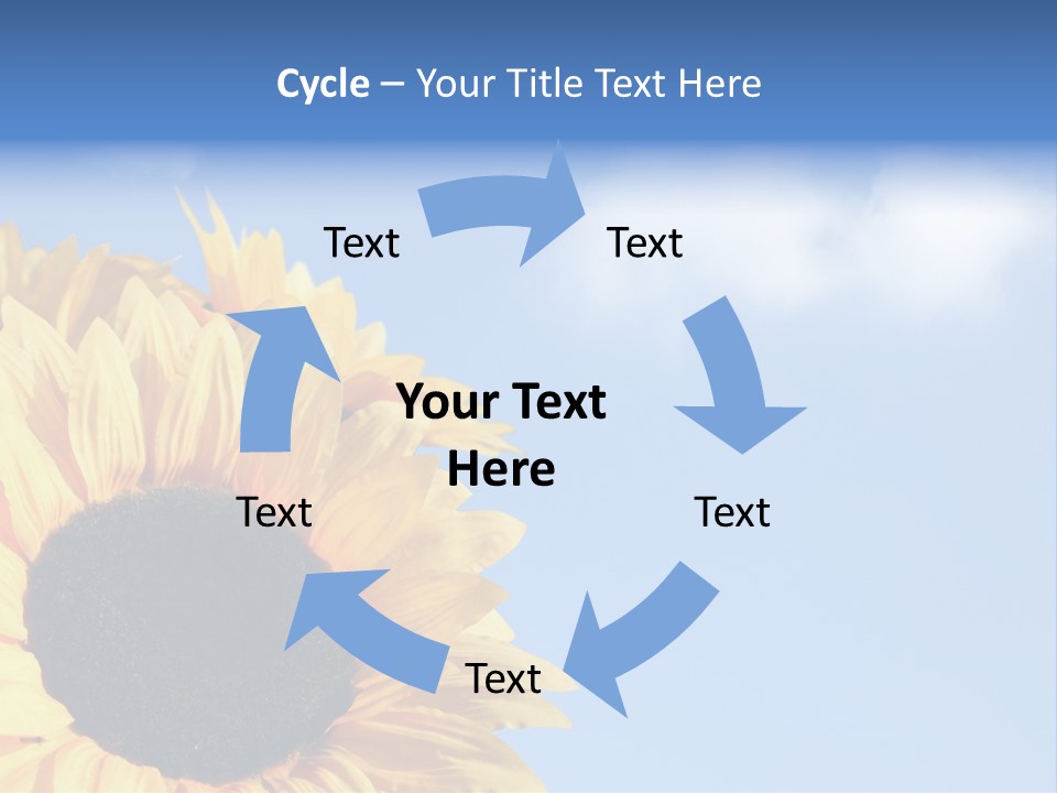 Spring Colour Sunflower PowerPoint Template