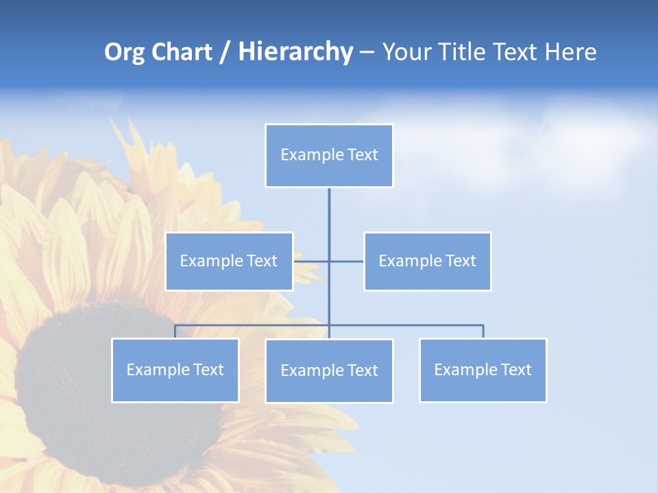 Spring Colour Sunflower PowerPoint Template