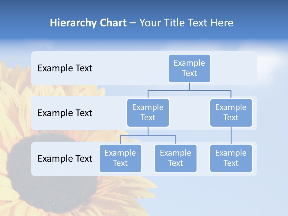 Spring Colour Sunflower PowerPoint Template