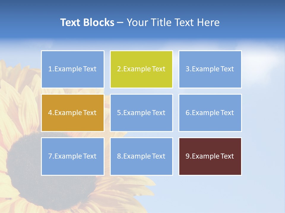 Spring Colour Sunflower PowerPoint Template