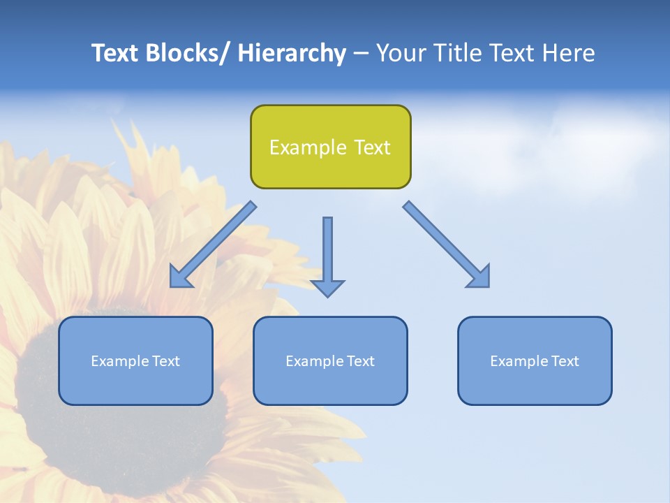 Spring Colour Sunflower PowerPoint Template