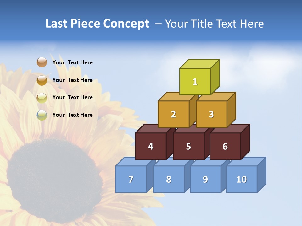 Spring Colour Sunflower PowerPoint Template