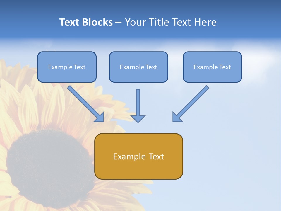 Spring Colour Sunflower PowerPoint Template
