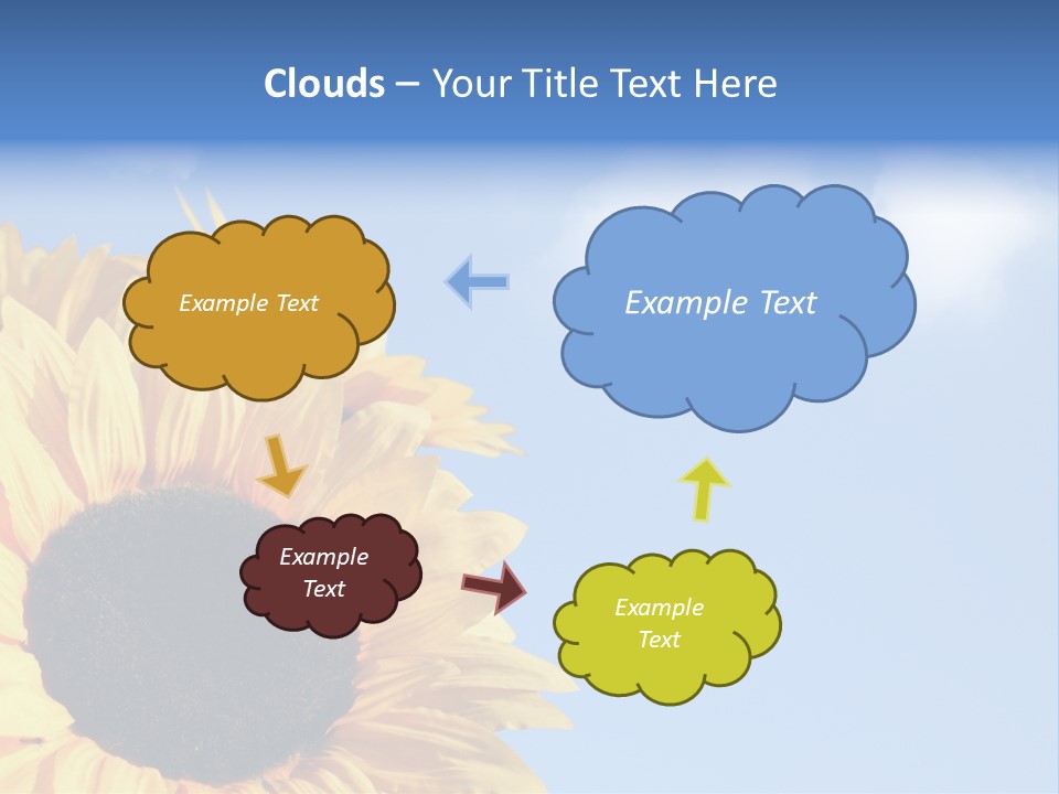 Spring Colour Sunflower PowerPoint Template