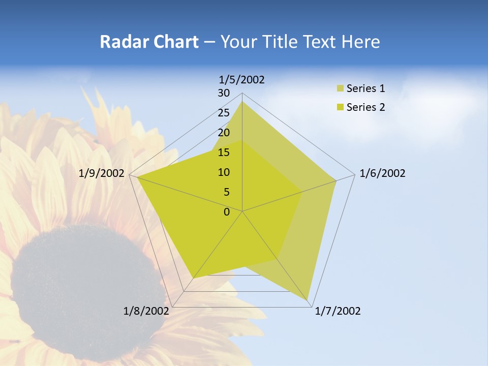 Spring Colour Sunflower PowerPoint Template