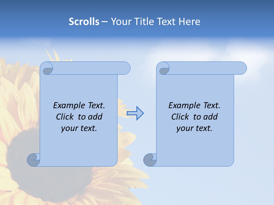 Spring Colour Sunflower PowerPoint Template