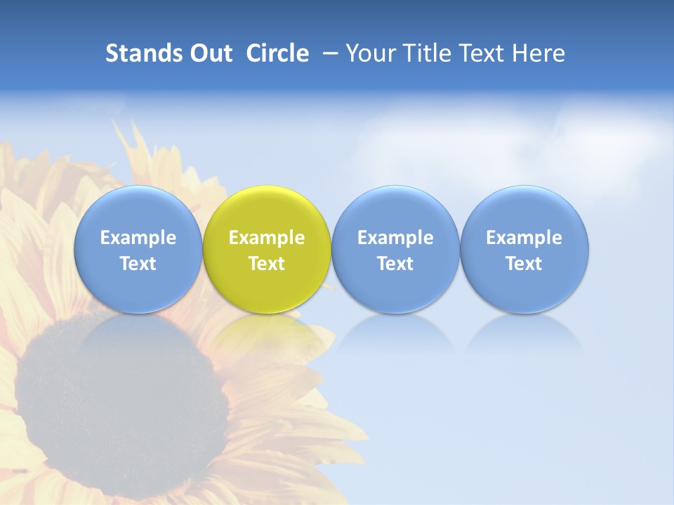 Spring Colour Sunflower PowerPoint Template